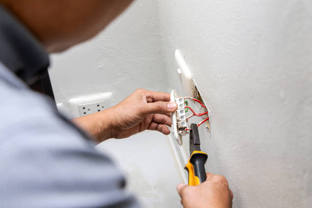 Best Electric Panel Repair  in Monroe, LA